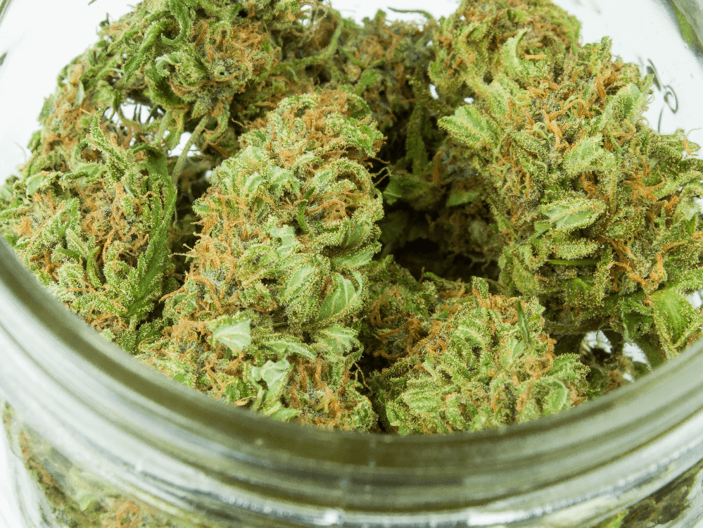  Medizinisches Cannabis